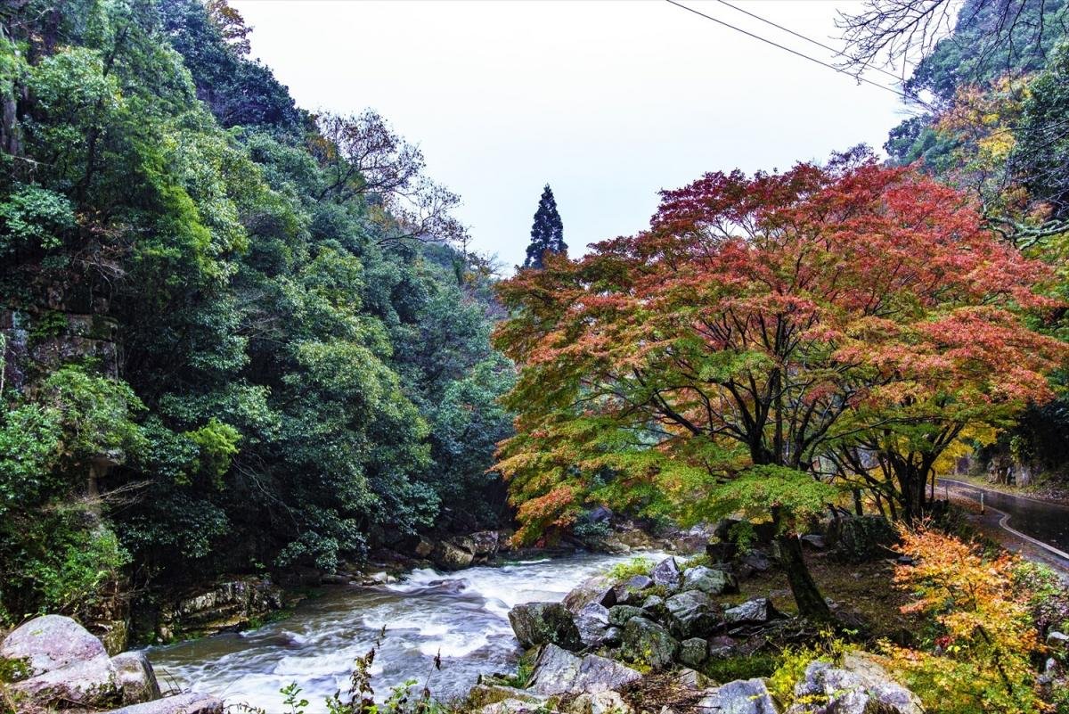 🏞️ 호쾌한 계곡(고케이) 이미지 1